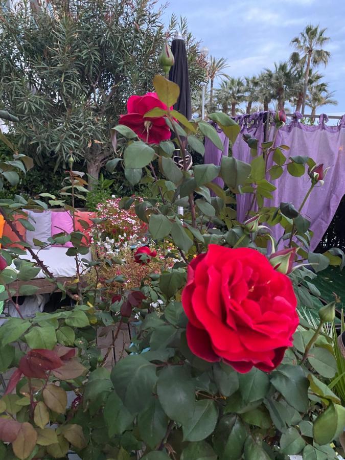 Promenade Des Center Sea And Front Design Flat With Private Garden Appartamento